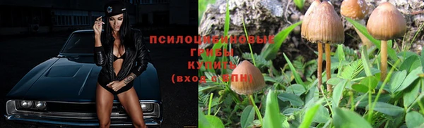 первитин Козельск