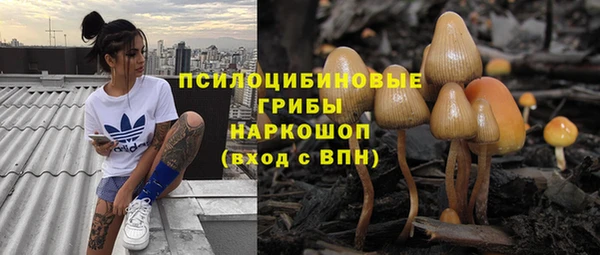 эйфоретик Кинешма