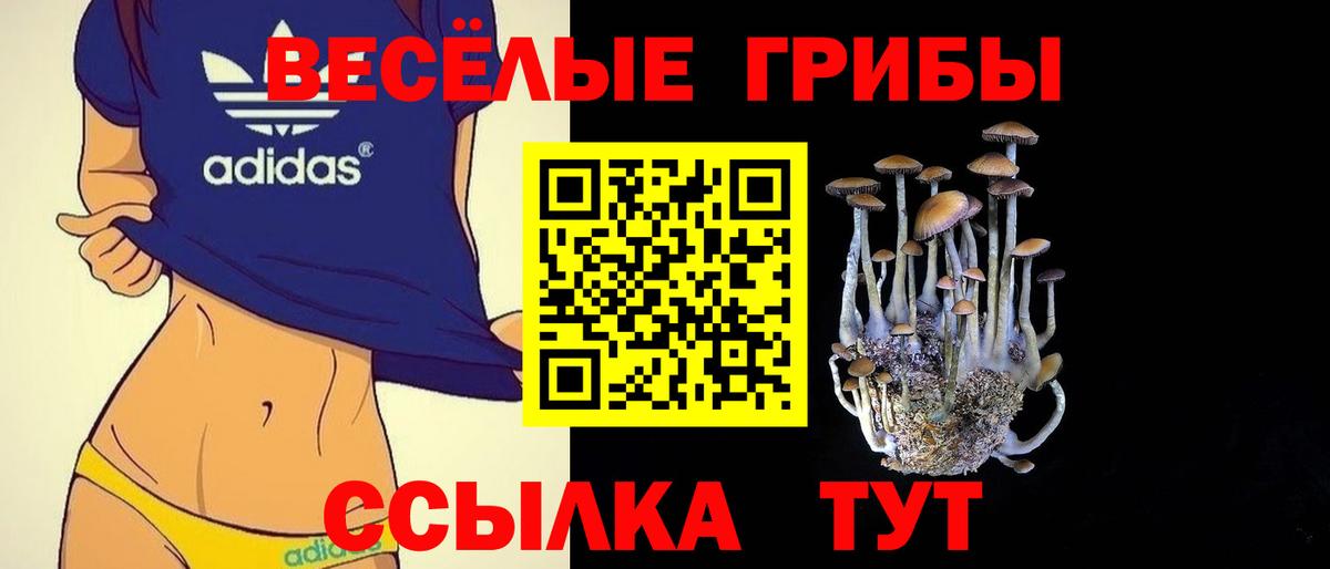 Галлюциногенные грибы GOLDEN TEACHER Кизилюрт