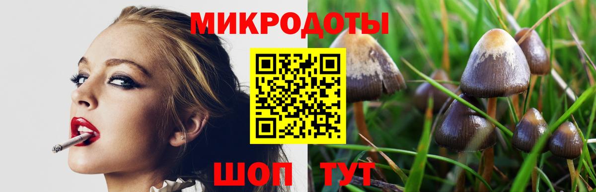 Галлюциногенные грибы MAGIC MUSHROOMS  Вход с VPN  наркота  Кизилюрт 